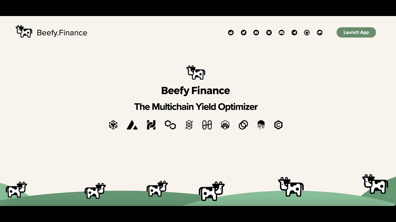 Beefy Finance. Обзор 