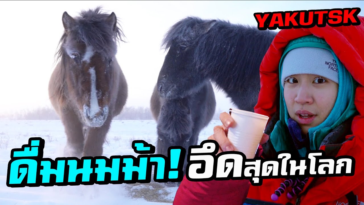 Yakutsk - Drink the Toughest Horse Milk in a hut (3/3)