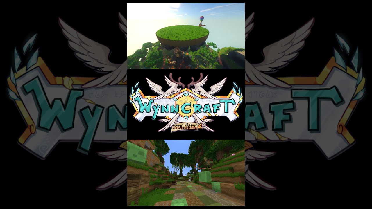 The best Minecraft server...