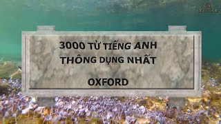 3000 từ vựng tiếng anh thông dụng - Oxford (Phần 2: Từ vần F - O) screenshot 1