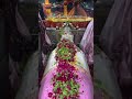 ALL PROBLEMS SOLUTION JALALI RUHANI ILAJ MIRA DATAR DARGAH SHARIF CONTACT NUMBER +91 9879592386