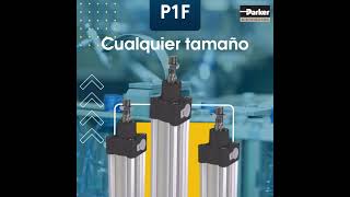 Cilindros Neumticos Parker A Medida La Solucin Perfecta Para Su Industria  Surmaq