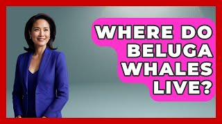 Where Do Beluga Whales Live? - Polar Regions Uncovered