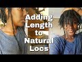 Loc Extensions on Natural Locs • NO CROCHET • NATURAL LOOKING | Onyx Goddess