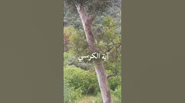 #آية الكرسي #سورة البقرة #سعد الغامدي