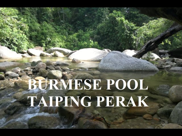 Tripadvisor Top Visit Place In Taiping Burmese Pool Lake Garden Youtube