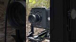 Nikkor T*ED 720mm Toyo 810M SHORT #largeformat #film #camera #filmphotography #bnwphotography #bnw