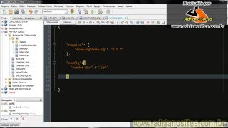 PHP Orientação a Objetos aula 23 - composer