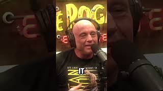 Download Lagu Joe Rogan reacts to the \ MP3
