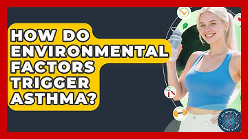 How Do Environmental Factors Trigger Asthma? - All About the Immune System