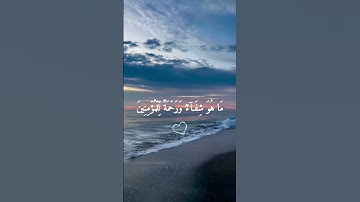 تلاوة خاشعة للقارئ رعد الكردي
