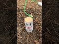Cracker Jack #banger #firecracker #pyro #fireworks #crackers