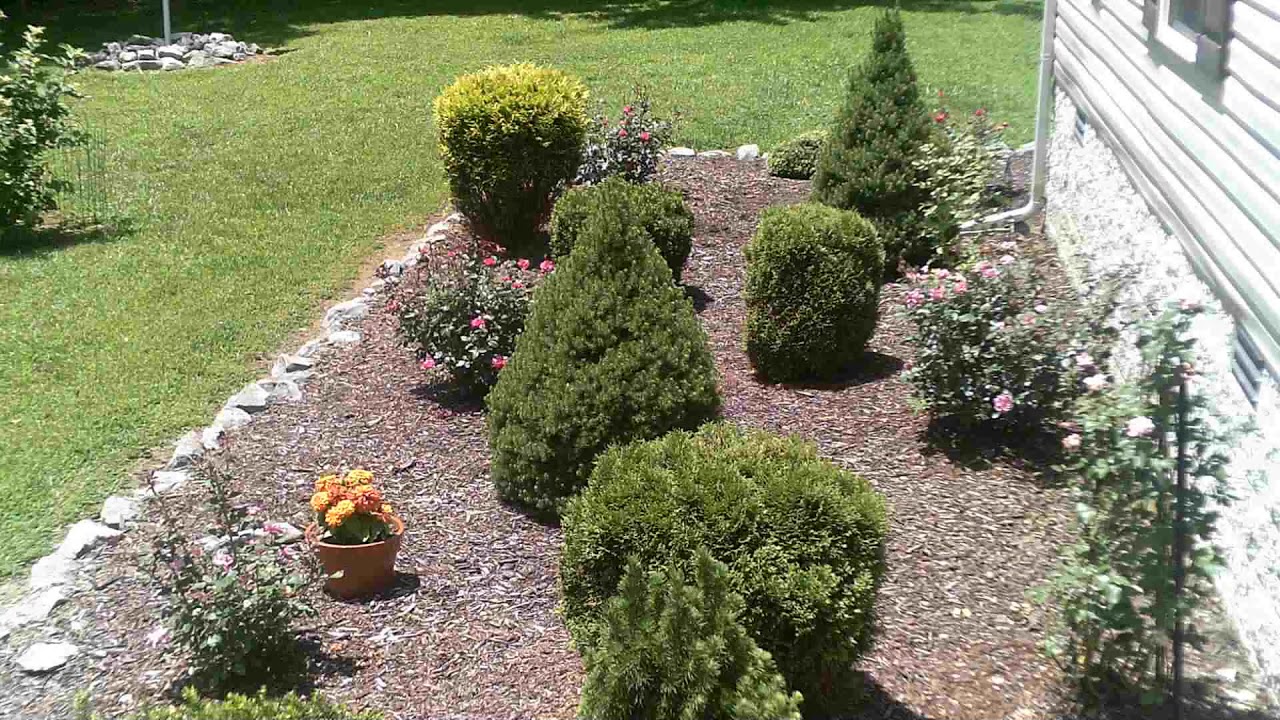 Landscape - YouTube