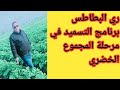 ري و تسميد نبات البطاطس بالتفصيل و برنامج التسميد كاملا في مرحلة المجموع الخصري