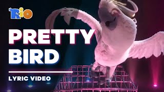 Rio - Pretty Bird [Lyric Video / Letra]