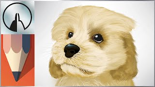 How to Paint a Puppy with Autodesk Sketchbook Mobile screenshot 3