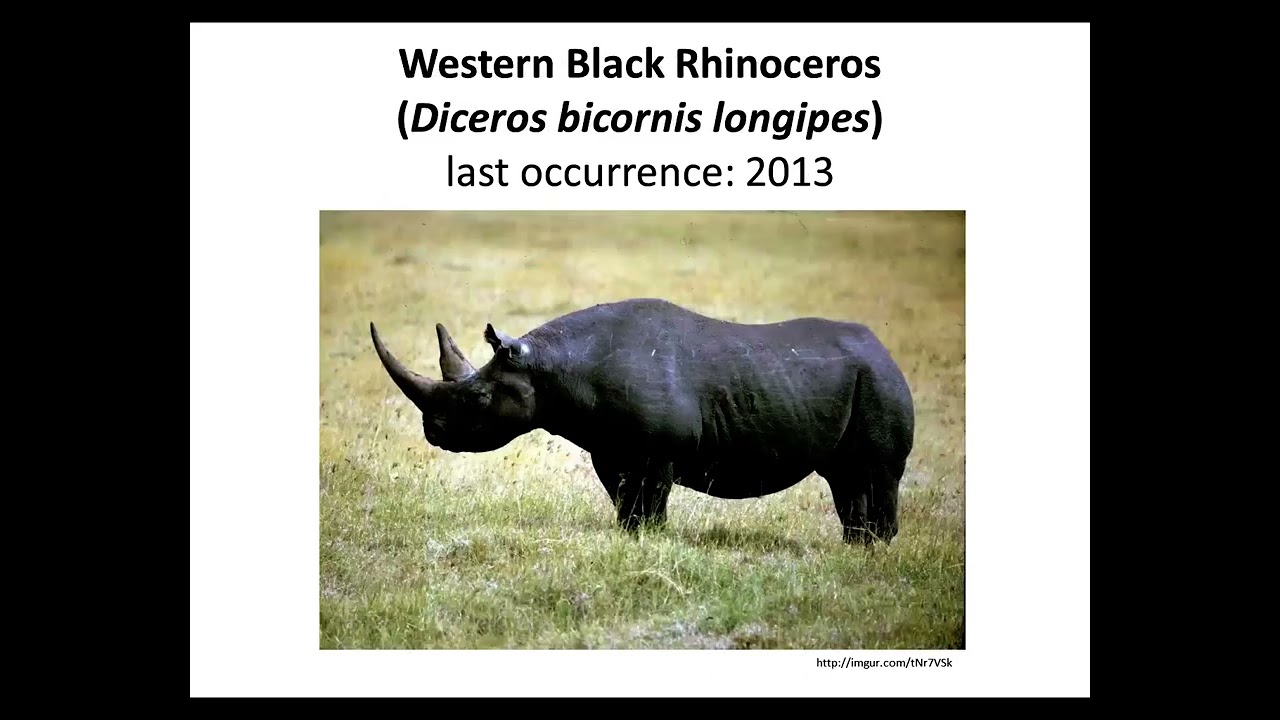 Conservation challenges - Part 1