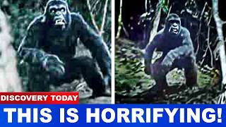 The Haunting Story Of The Honobia Bigfoot Attacks That Terrorized A Family For Months
