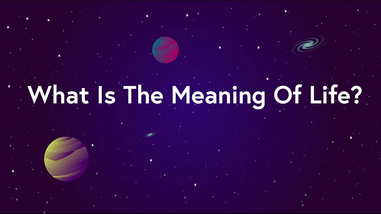 The meaning of life