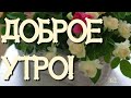 Доброго утречка ! Благословенного дня ! Пошли это видео всем , кому желаеш хорошего настроения ...