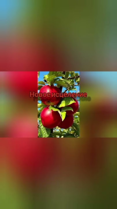 слив летней обновы - YouTube