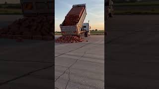 Relaxing Slow Motion Truck Unloading Bricks