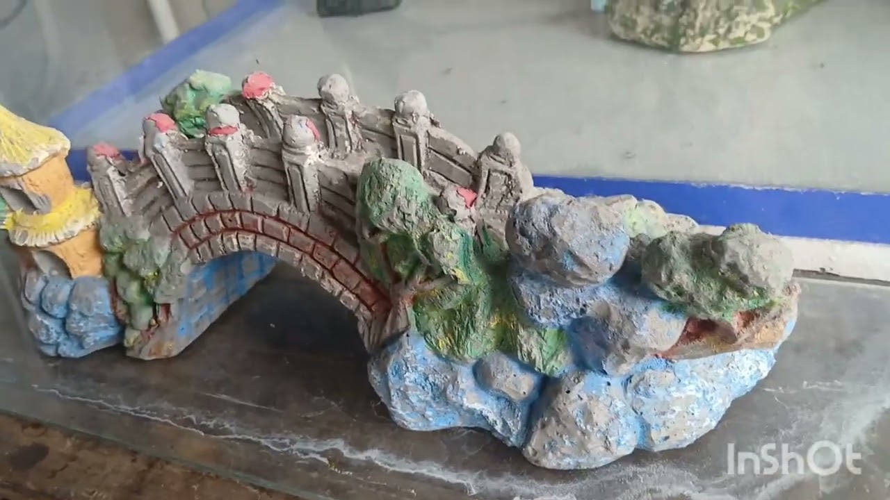 Black oscar fish pet (part 6)