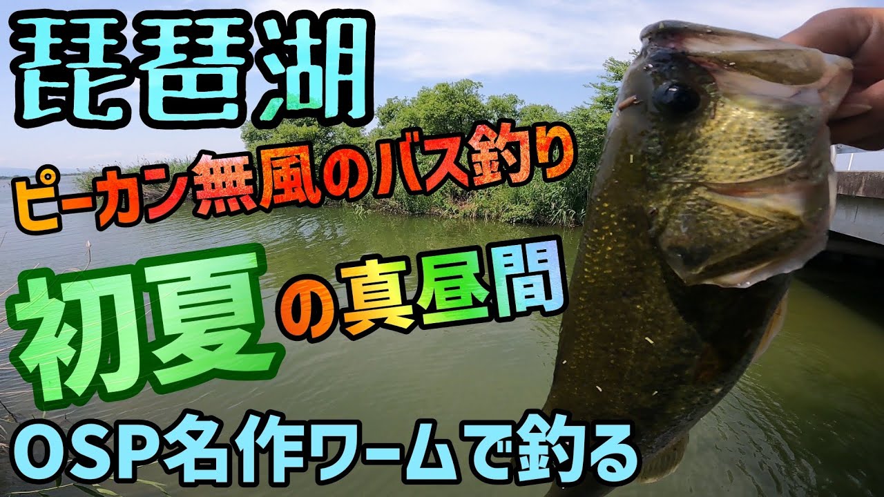 真昼間のピーカン無風が難しい たわけ バス釣りはいつでも釣れる w夏に近付く琵琶湖バスフィッシング オカッパリでosp名作ドライブシュリンプで得意な 釣り方でバスを狙う 琵琶湖バス釣り Youtube 真昼間のピーカン無風が難しい たわけ バス釣りはいつでも釣れる w夏に近付く琵琶湖バスフィッシング オカッパリでosp名作ドライブシュリンプで得意な 釣り方でバスを狙う 琵琶湖バス釣り Youtube