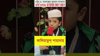 কালিমাতুশ শাহাদাহ্ #iman #islam #kalima #HAMQM #madrasah #education