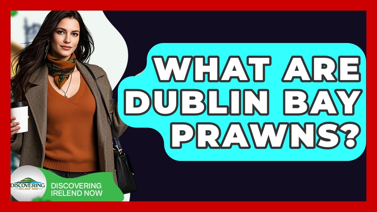 What Are Dublin Bay Prawns? - Discovering Ireland Now