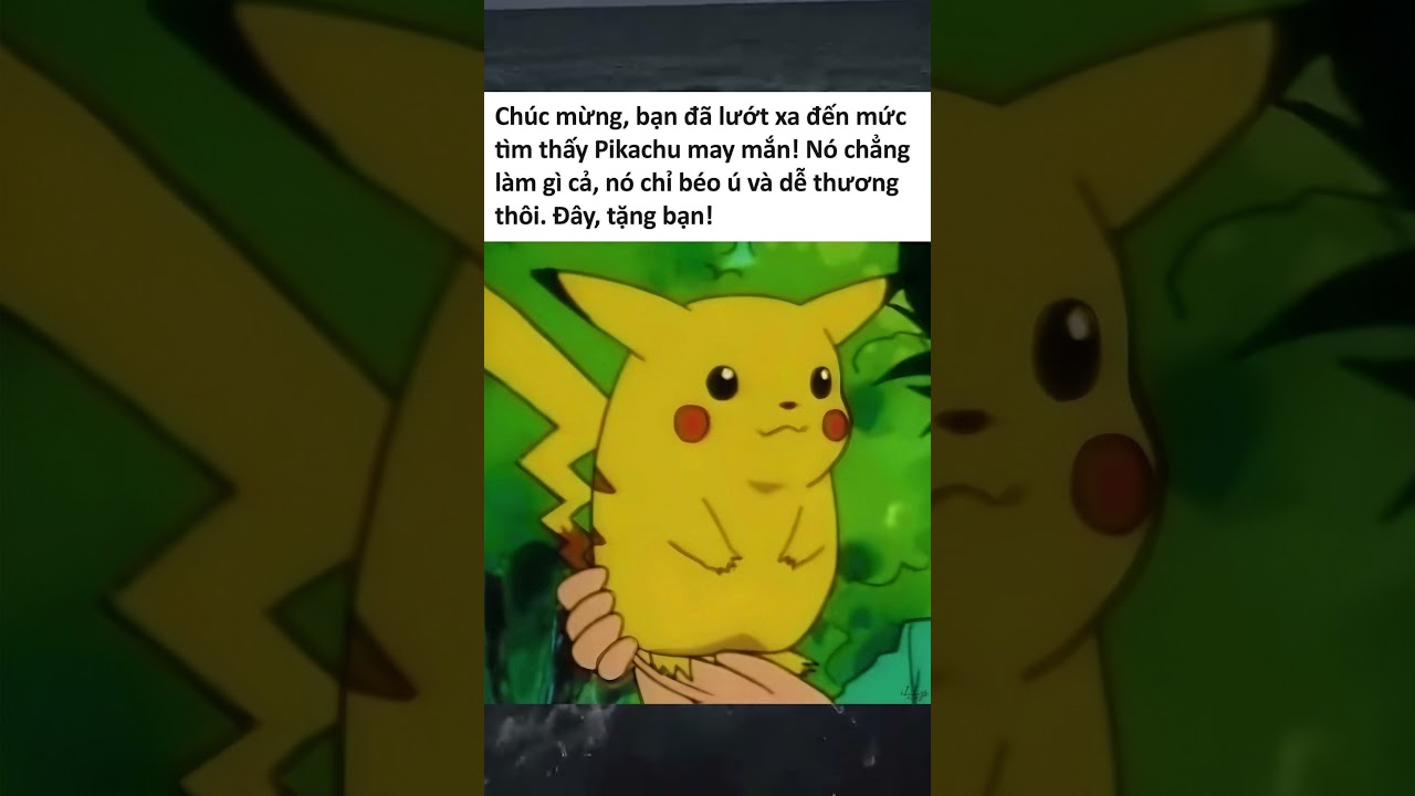 210 nhiều quá,tịnh tâm đi