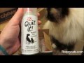 Quit It!TM QuitIt Pet Noise Maker and Pet Training - ねこ - ラグドール - Floppycats