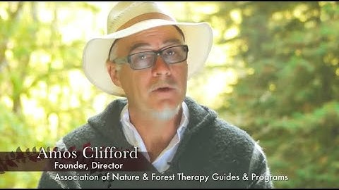 Introduction to Forest Therapy and Shinrin-yoku