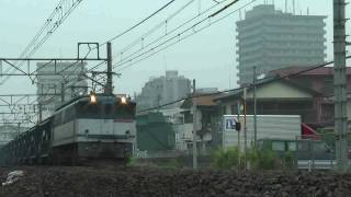 【JR貨】EF65牽引 専用貨物 5764レ 宮原カーブ (HD)