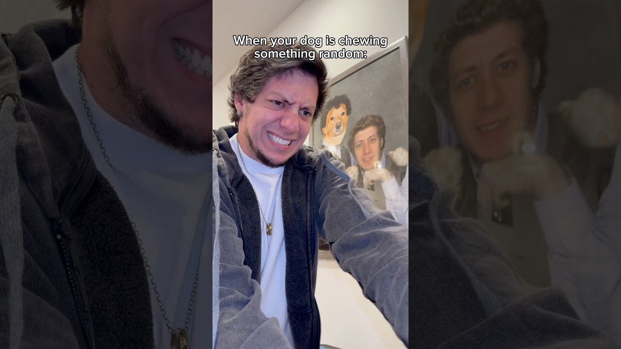 Когда у собак что-то во рту 