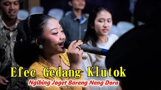 NGIBING BARENG SINDEN PURWO WILIS - LILIS FEAT NENG DORA GROUP, EFEC GEDANG KLUTUK..GOYANG RAME RAME