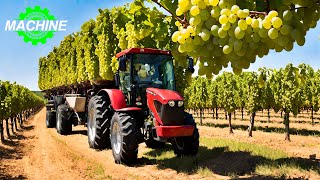 The Most Modern Grape Harvesting Machines 🍇🍇🍇 In The World That Are At Another Level