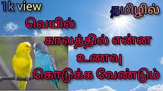 summer food for buidges?? வெயில் காலத்தில் என்ன உணவு கொடுக்க வேண்டும் 💯💢💢❤️❤️