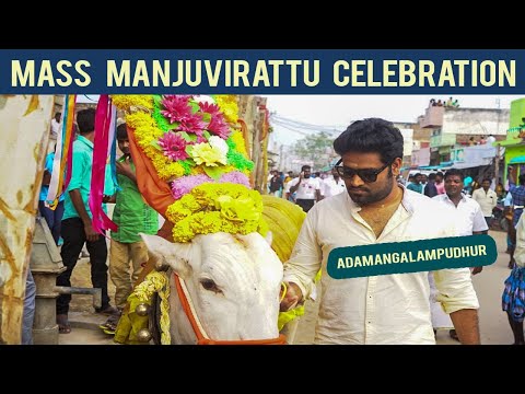 Mass Manju Virattu Celebration |Mattu Pongal Special | Adamangalam Pudhur 2021