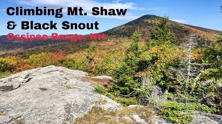 Climbing Mt Shaw & Black Snout, Ossipee Range, Moultonborough, NH