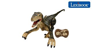 DINO01 - RAPTOR CONTROL : An ultra-realistic radio-controlled dinosaur ! – Lexibook