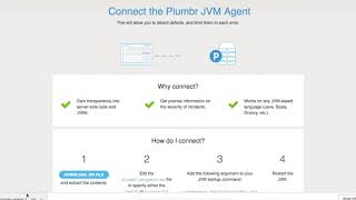 Installing Plumbr JVM Agent (old onboarding) screenshot 3