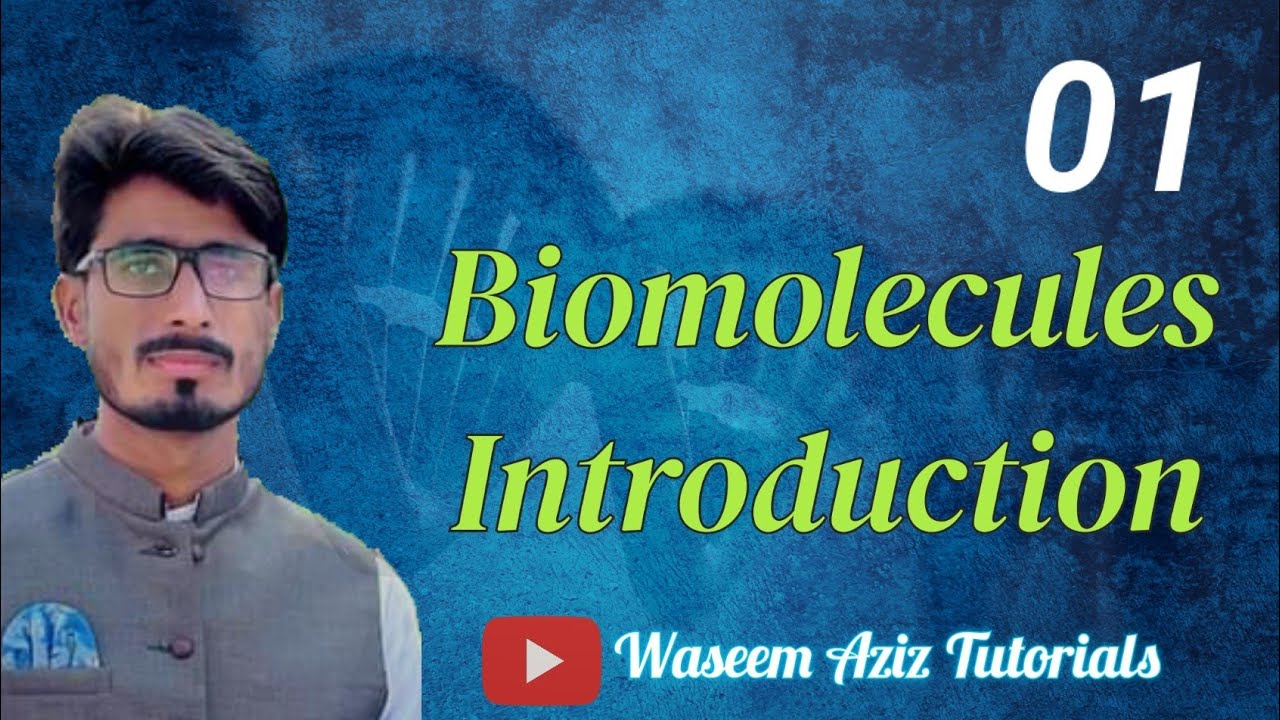 Biomolecules introduction YouTube