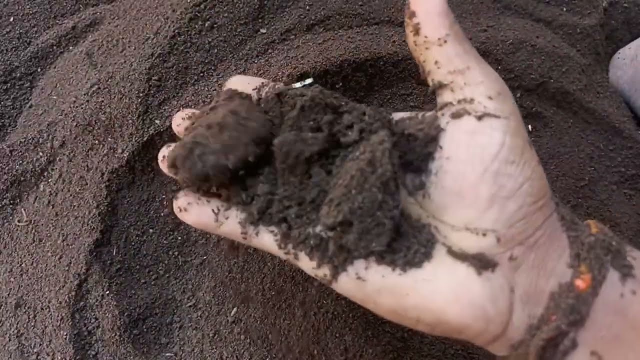 वर्मिकम्पोस्ट की संपूर्ण जानकारी जो आप नही जानते होंगे