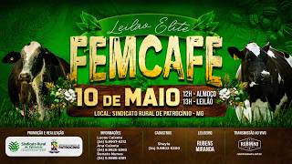 LEILÃO ELITE FEMCAFÉ