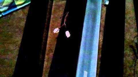 Luminator destination sign project part 1