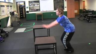 Phase 4 Exercise Progression: Double leg body weight box jump (jump up on box, jump down off box)