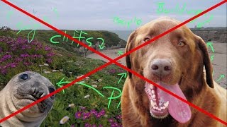 Improve Your Landscape Photos - Remove Distractions