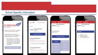 3 Info Packet Converted