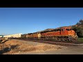 BNSF Trains in California | Summer 2019 [4K]